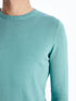 LC Waikiki Crew Neck Long Sleeve Men's Tricot Sweater